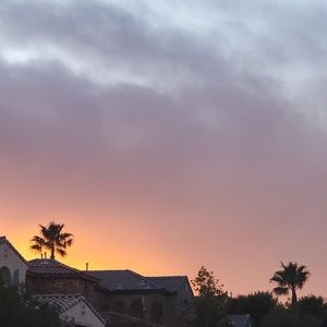 Meet your Posher, Noa